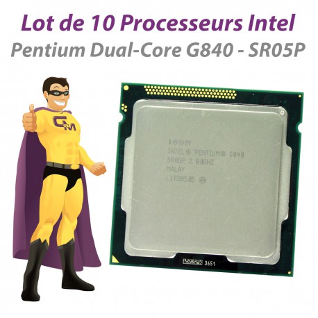 Lot x10 Processeurs CPU Intel Pentium G840 2.8Ghz 3Mo SR05P FCLGA1155 Dual Core