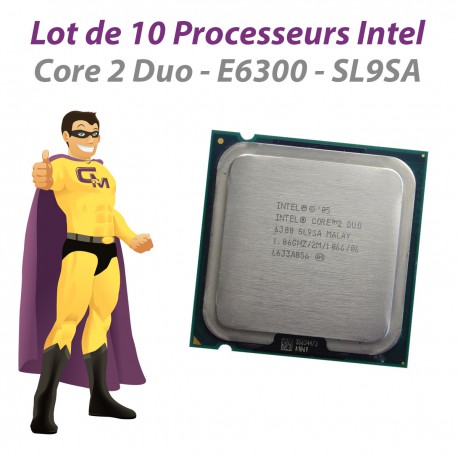 Lot x10 Processeurs CPU Intel Core 2 Duo E6300 SL9SA 1.86Ghz 2Mo 1066Mhz LGA775