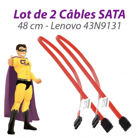 Lot x2 Câbles SATA 43N9131 Lenovo Think Center A25 M58 7359 48cm Rouge