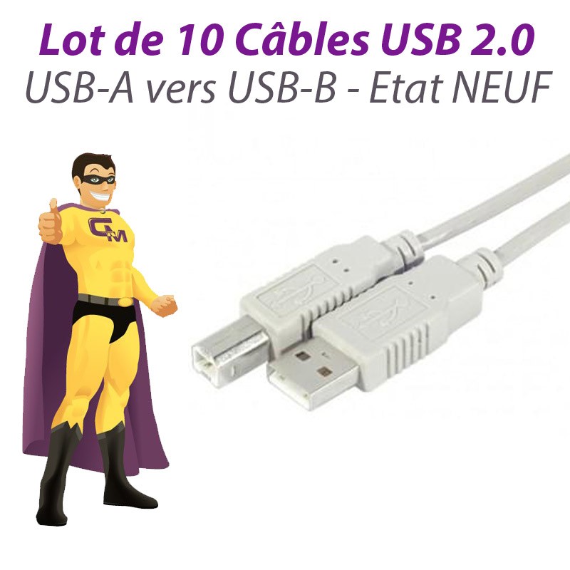 Câble USB 2.0 USB-A USB-B 1.80m Imprimante Scanner 453030300170R05