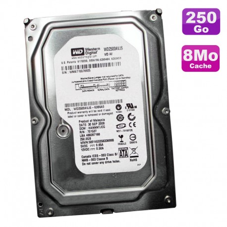 Disque Dur 250Go SATA 3.5" Western Digital AV WD2500AVJS-63B6A0 7200RPM 8Mo