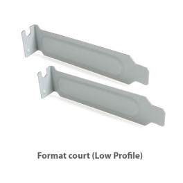 Lot 2x Caches PCI Cover Court Low profile Métalliques Boîtier PC Case - Sans Vis