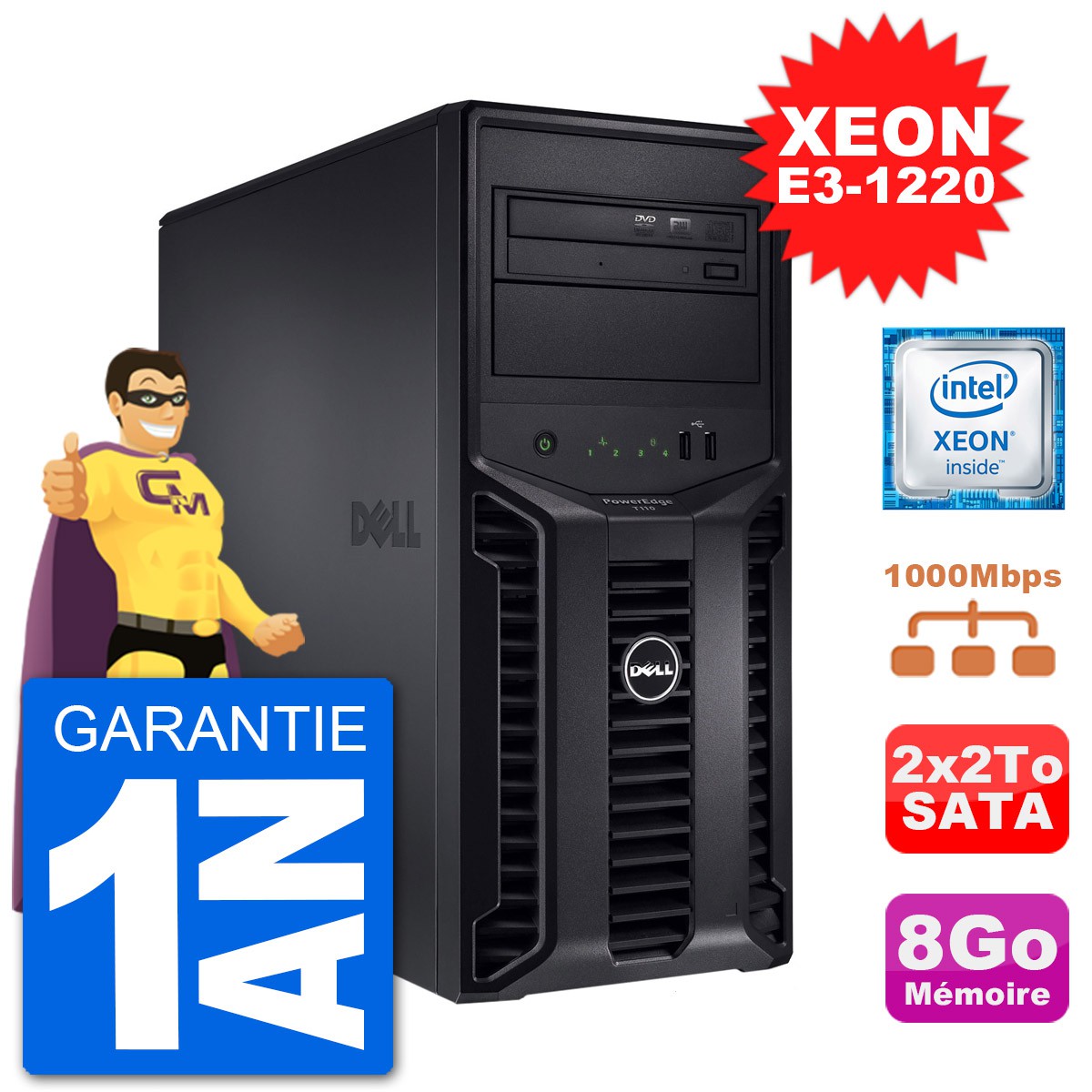 Serveur DELL PowerEdge T110 II Xeon QuadCore E3-1220 8Go 2x2To Perc H200  SATA - MonsieurCyberMan