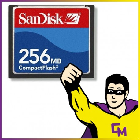 Carte SanDisk 256 MB CompactFlash ‎SDCFB-256-485