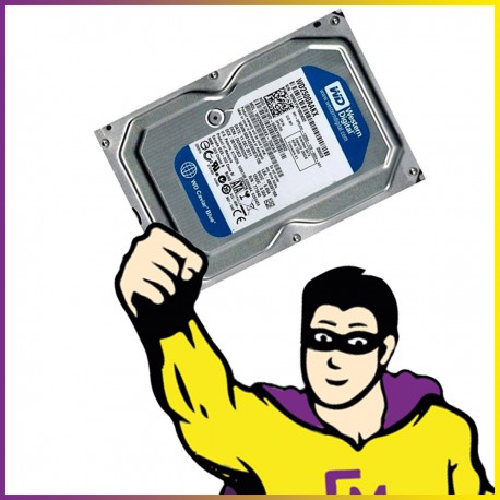 Disque Dur 250Go SATA 3.5" Western Digital Caviar Blue WD2500AAKX 7200RPM 16Mo