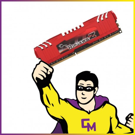 4Go RAM G.SKILL RIPJAWS Z F3-12800CL9Q-16GBZL PC-12800 DDR3 1600Mhz CL9 1.50V