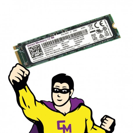 SSD NVMe M.2 2280 256Go Union Memory AH631 SSS0L25152 Clé M