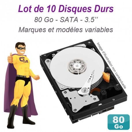 Lot de 10 Disques durs 3.5" 80Go SATA Western Digital Hitachi Samsung Seagate