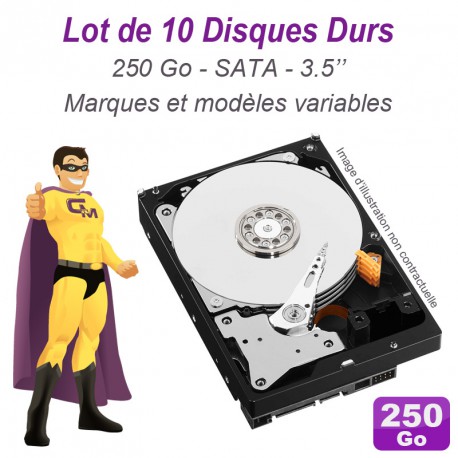 Lot de 10 Disques durs 3.5" 250Go SATA Western Digital Hitachi Samsung Seagate