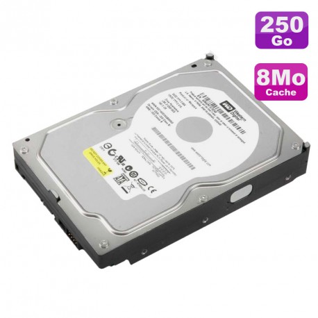 Disque Dur 250Go SATA 3.5" Western Digital Caviar SE WD2500JS-55NCB1 7200RPM 8Mo